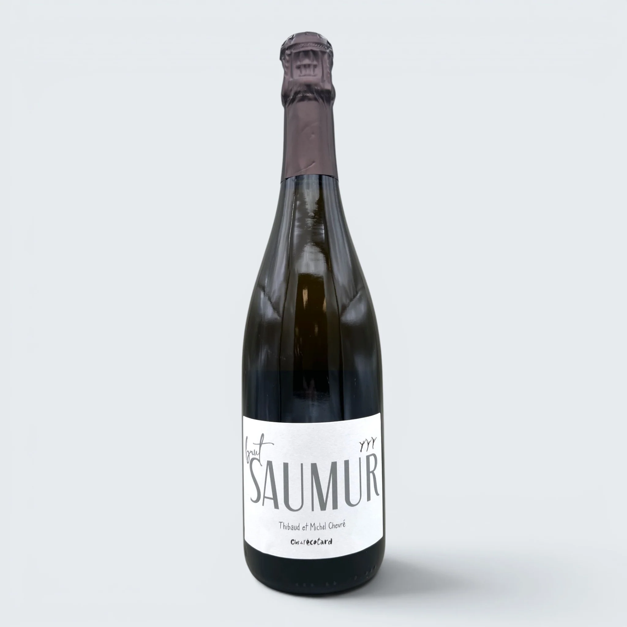 Domaine Michel Chevre Clos de l'Ecotard Saumur Brut 2022 (750ml)