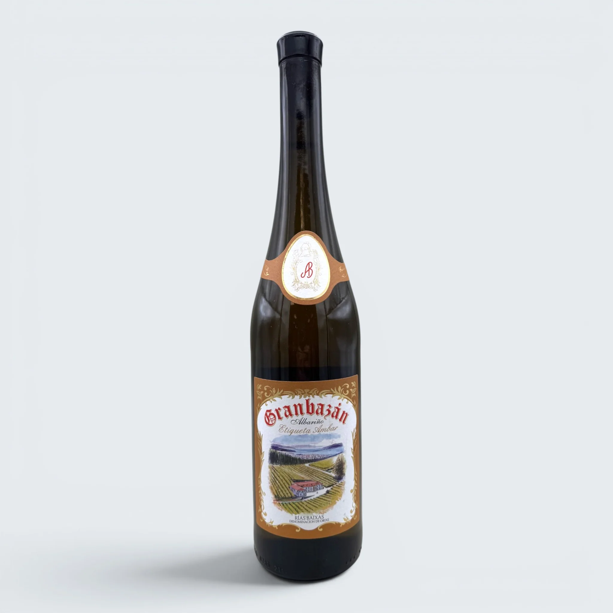 Granbazan Albarino Etiqueta Ambar Rias Baixas 2023 (750ml)