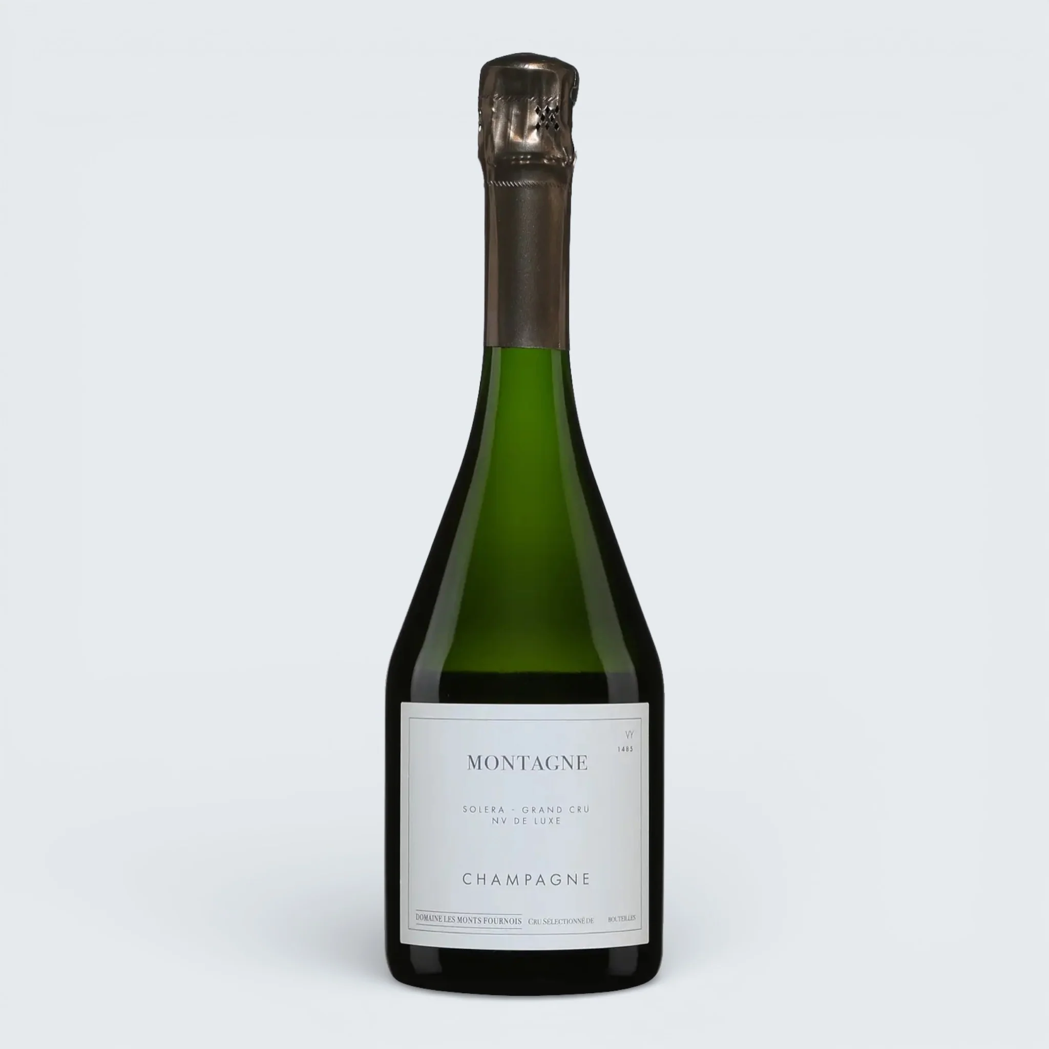 Monts Fournois Montagne Champagne 2013 (750ml)