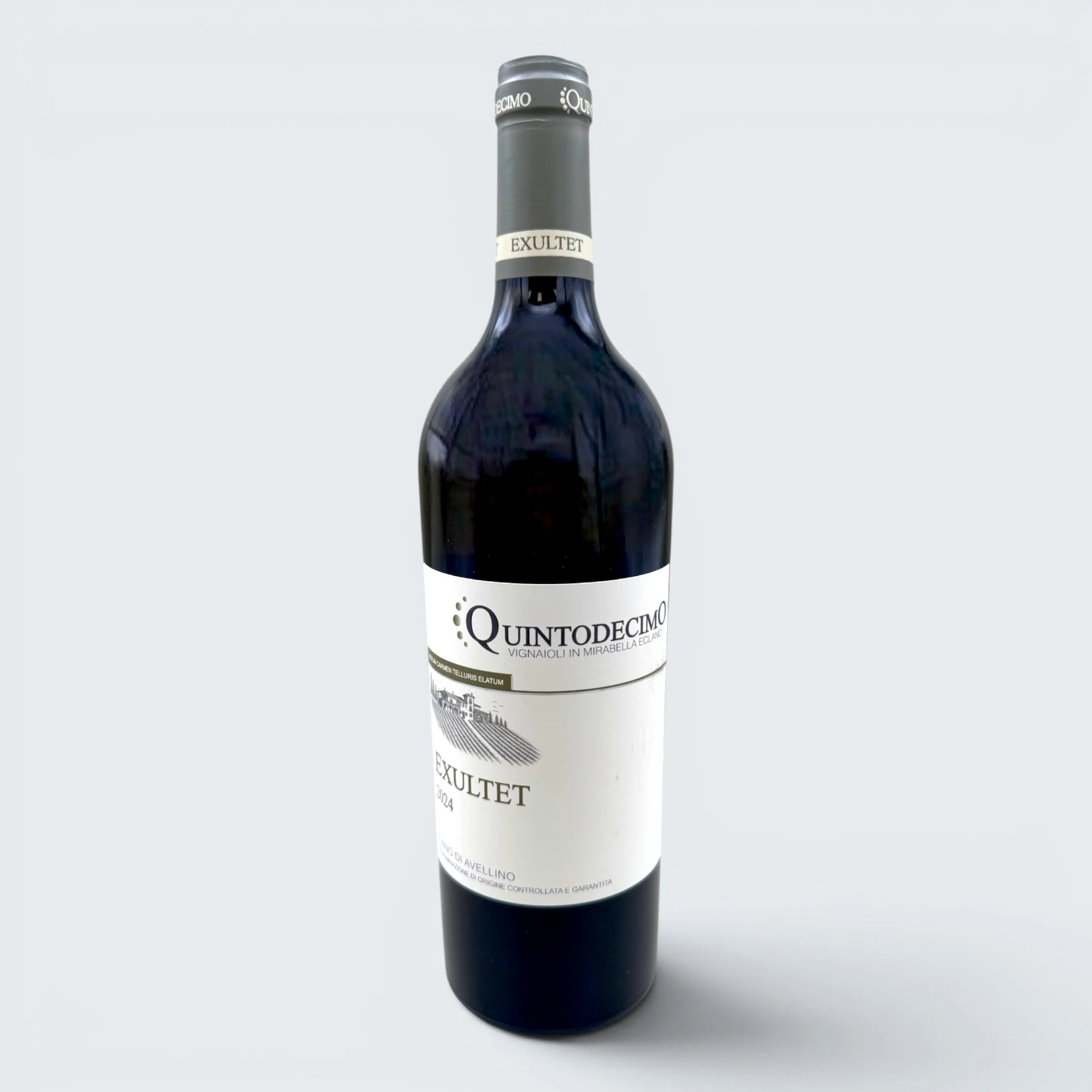 Quintodecimo Exultet Fiano di Avellino DOCG 2024 (750ml)