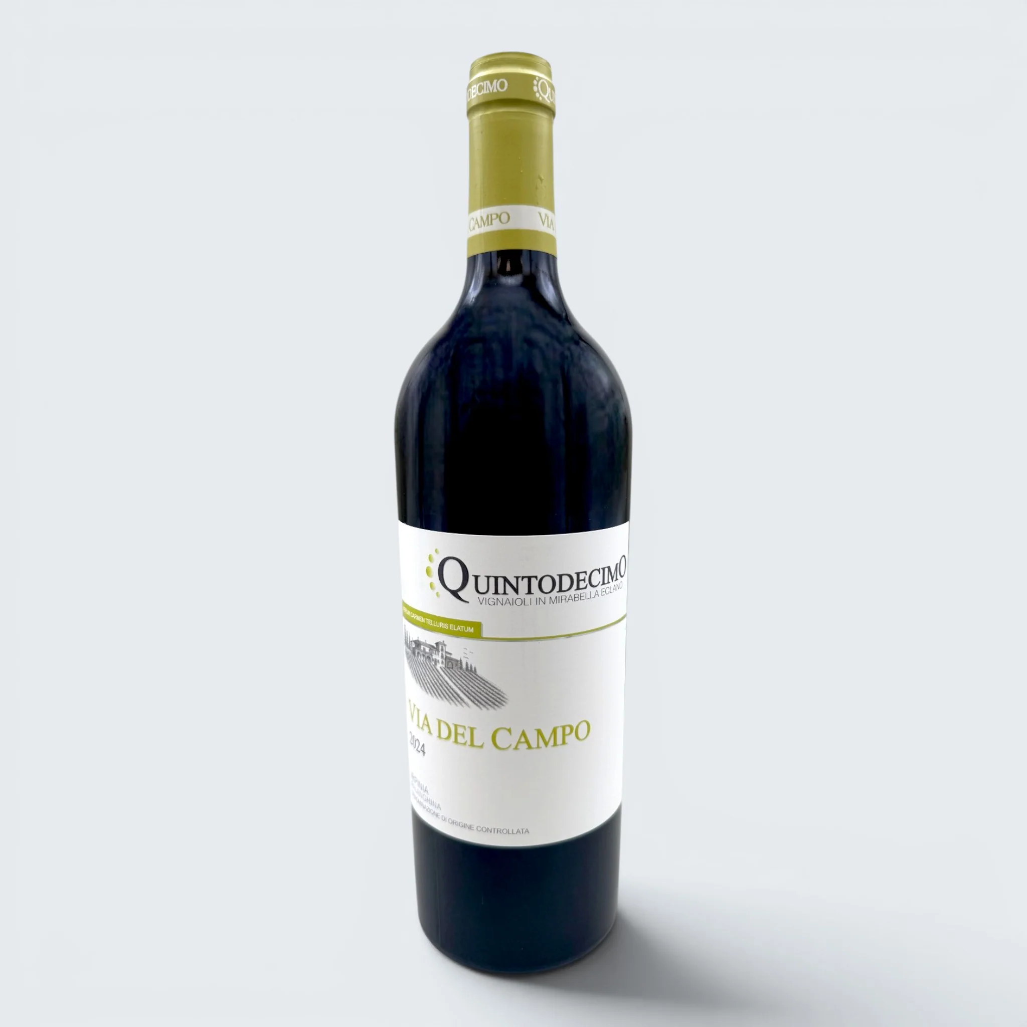 Quintodecimo Via del Campo Falanghina DOC Irpinia 2024 (750ml)