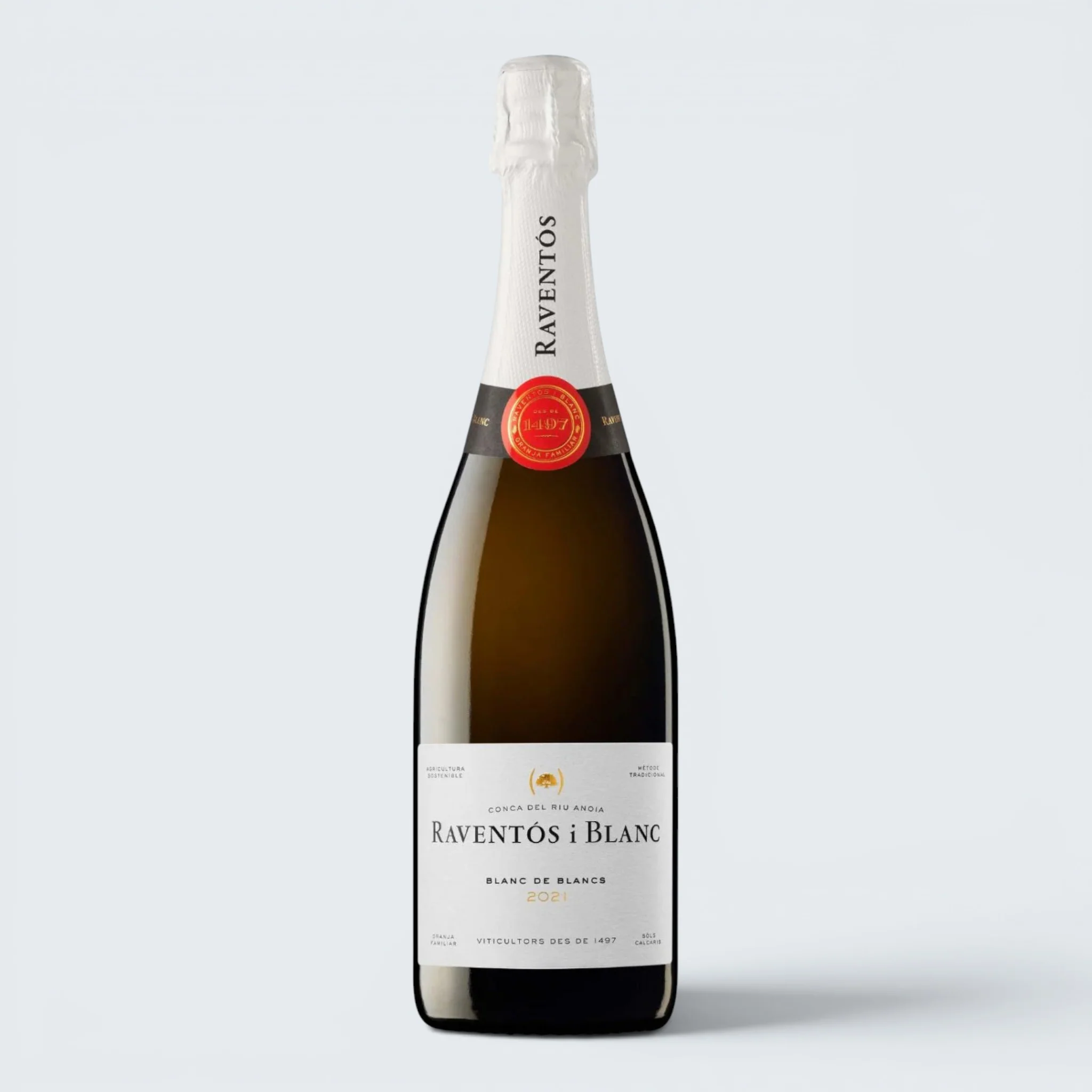 Raventos I Blanc Conca Del Riu Andia Blanc de Blancs 2023 (750ml)