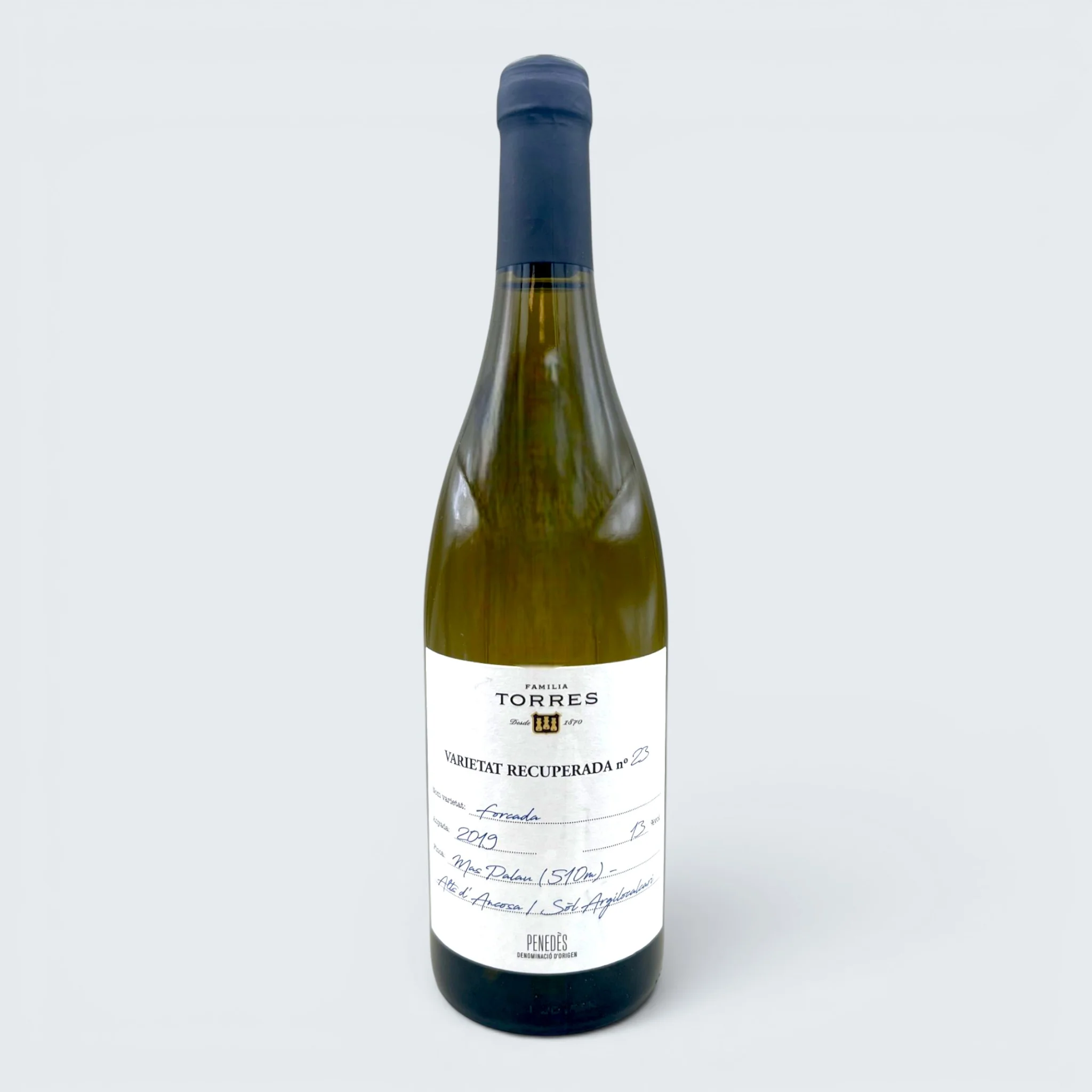 Torres Forcada Penedes 2019 (750ml)