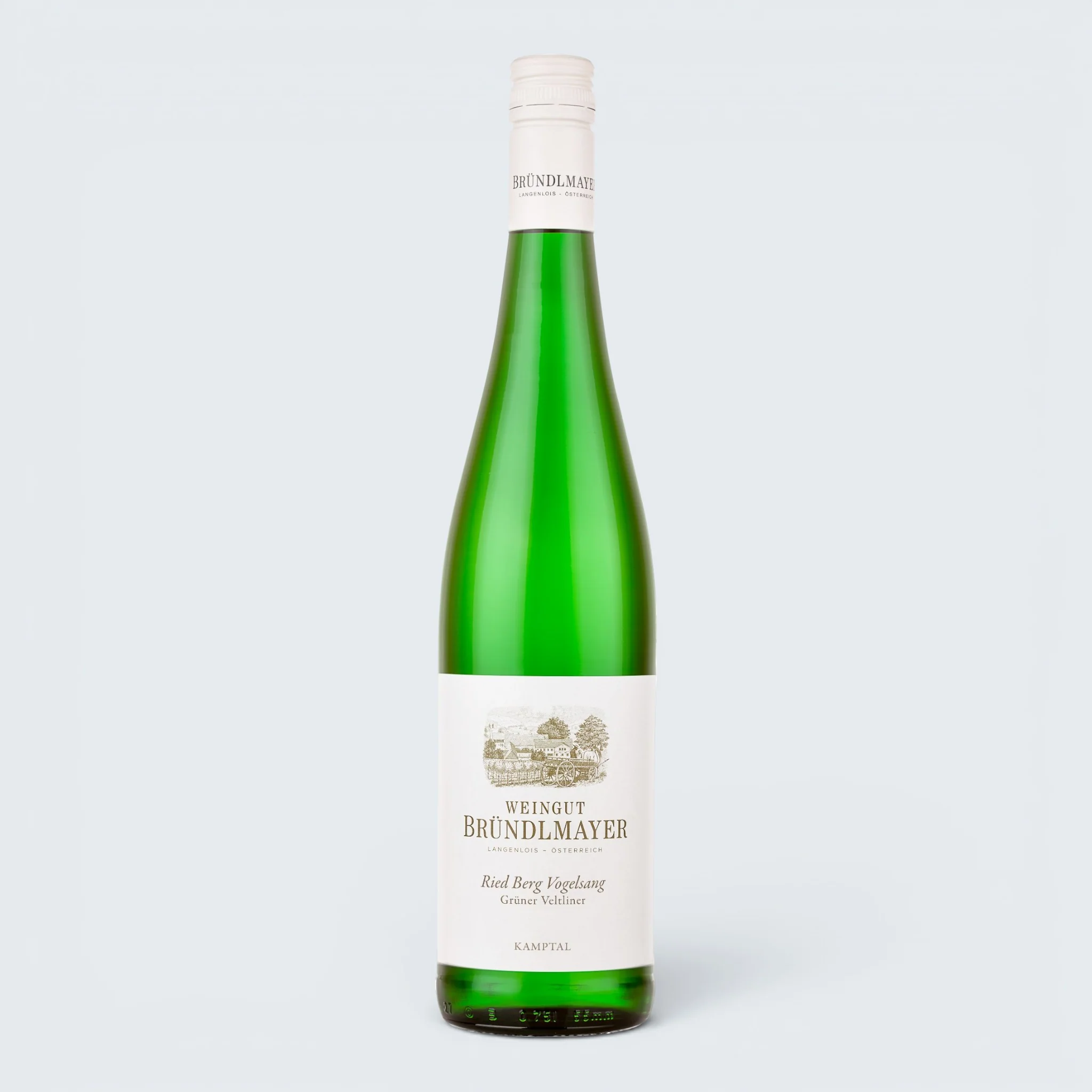 Weingut Brundlmayer Gruner Veltliner Ried Berg Vogelsang Kampstal 2022 (750ml)